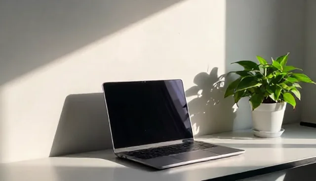 移动应用开发中的软件定制检查要点解析